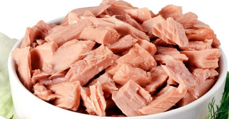 10 formas de presentar el atún en lata con las que triunfarás