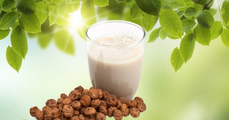 Cómo hacer una horchata de chufa en la Thermomix