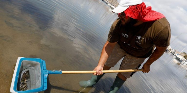 Ecologistas exigen a gobiernos regional y central que trabajen juntos en favor del Mar Menor