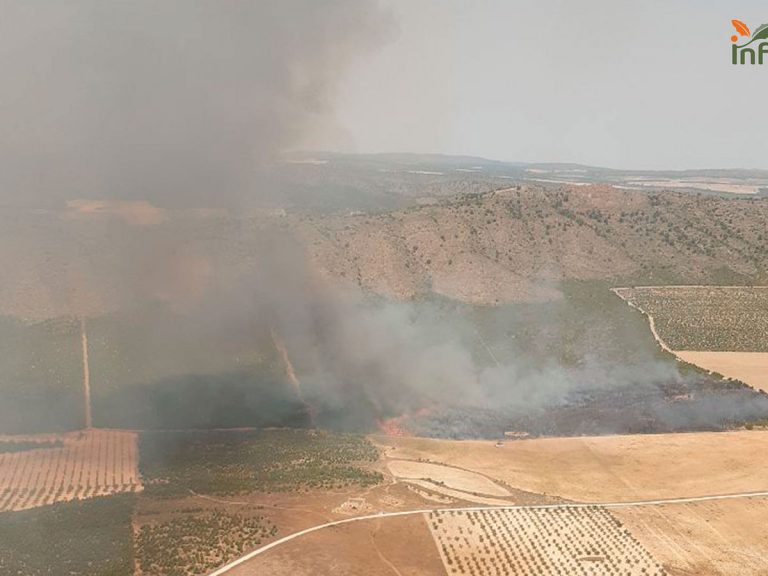 El fuego quema más de 40.213 hectáreas en España en lo que va de 2021