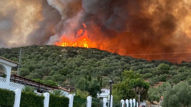 El incendio forestal de Alcaracejos alcanza las 600 hectáreas afectadas