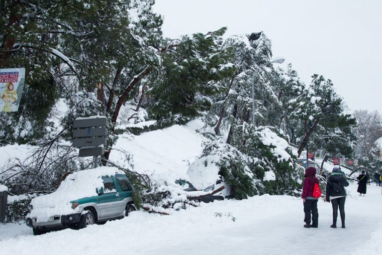 El ser humano es responsable del cambio climático
