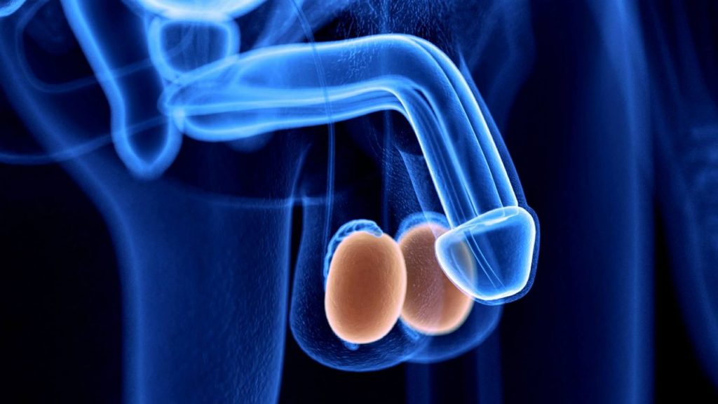 Cáncer de testículos: síntomas que te avisan de que hay un problema 35 El tumor empieza a dolerle si tienes cáncer de testículos