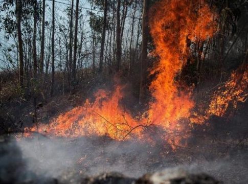 Incendio Forestal
