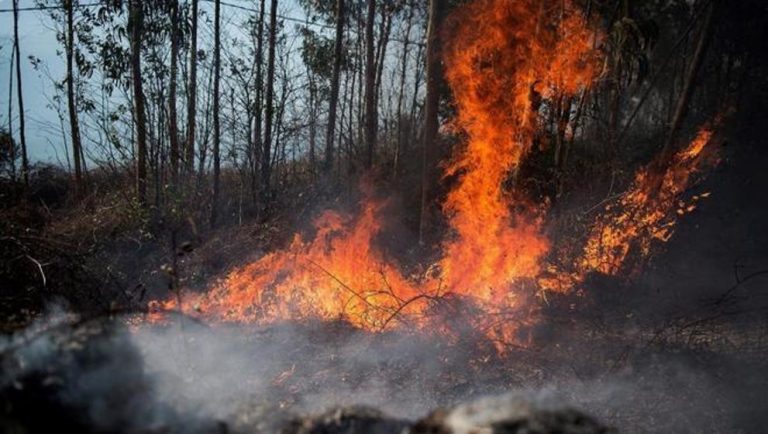 Un año y dos meses de cárcel a hombre por un incendio forestal en Arredondo