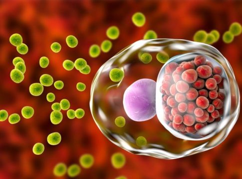 Las infecciones de transmisión sexual