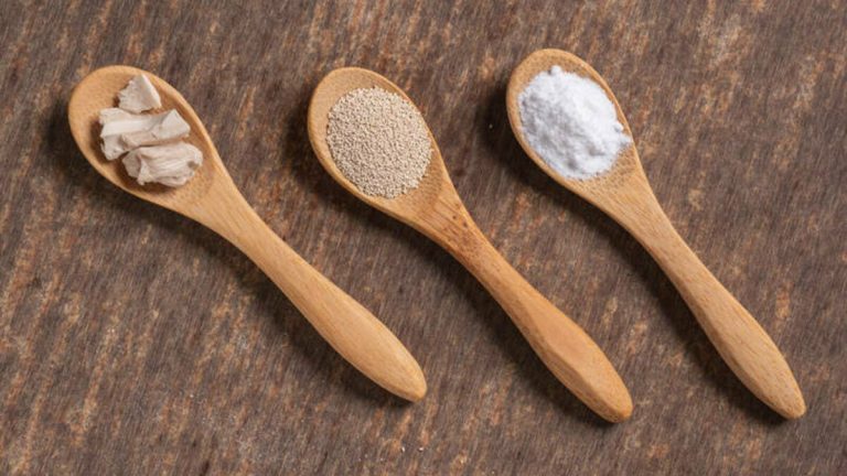 Levadura: los mejores sustitutos si te has quedado sin ella