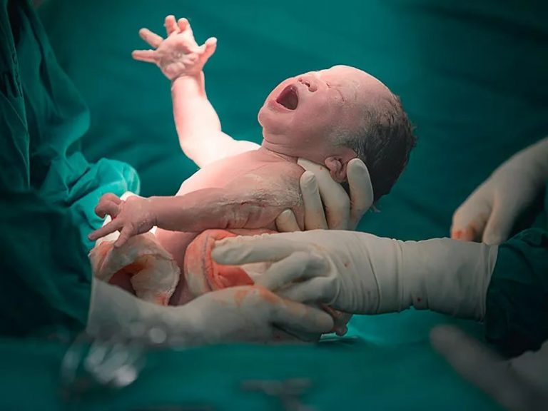 Los nacimientos registran un leve aumento en junio, con respecto a mayo