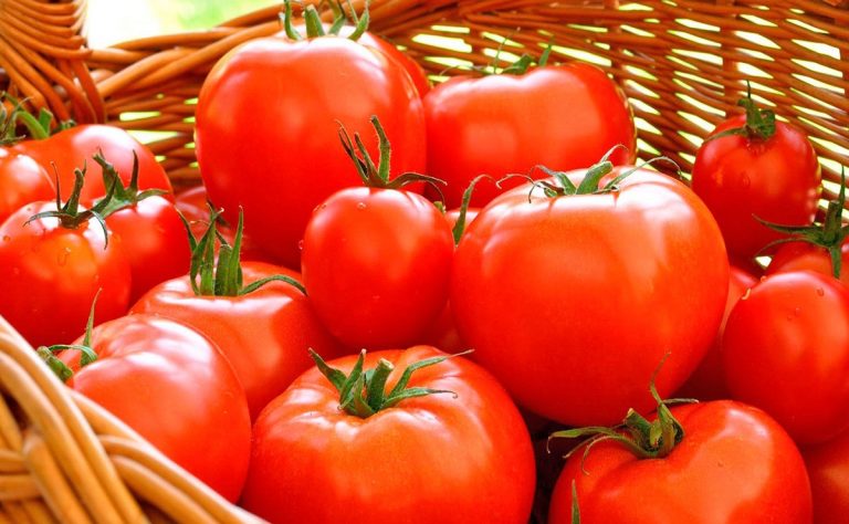 Los otros beneficios del tomate que no conoces
