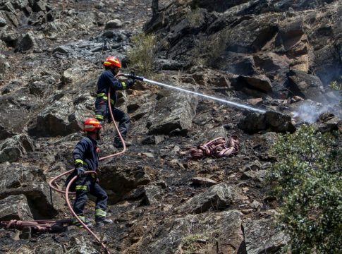 Madrid lleva en este año un total de 220 incendios, 52 más que el año pasado