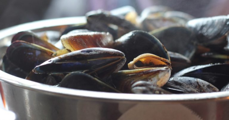 Mejillones: esta es la cantidad de agua que debes poner para cocerlos 'de 10'