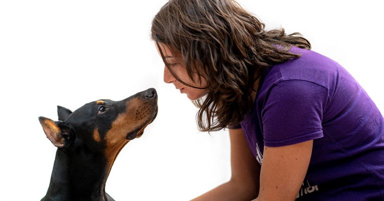 Cómo superar el miedo a los perros