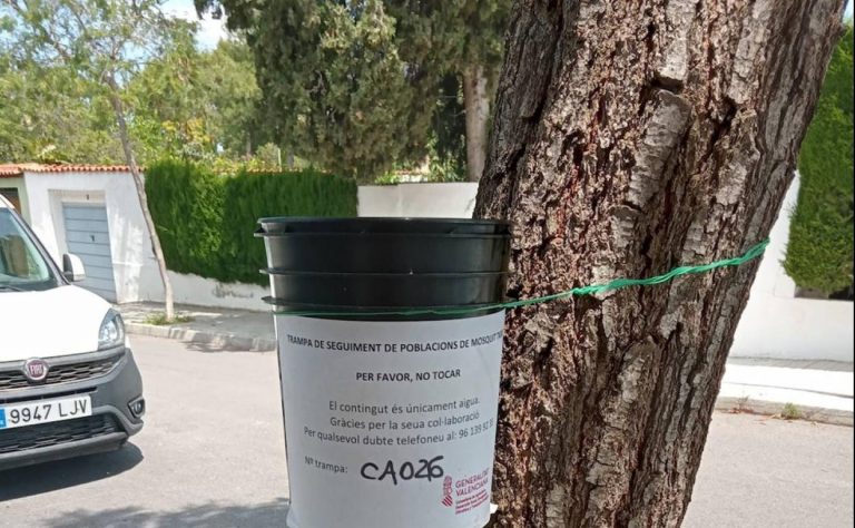 Paterna extiende al casco urbano la prueba piloto de reducción de población de mosquito tigre