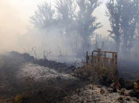 Podemos apoya una comisión de investigación en Castilla y León por el incendio de Ávila