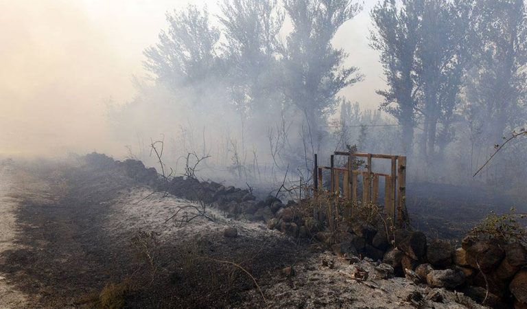 Podemos apoya una comisión de investigación en Castilla y León por el incendio de Ávila