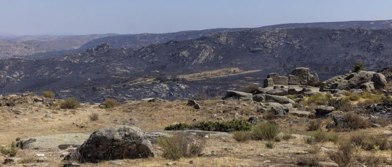 Podemos y PSOE apoyan investigar el incendio en Navalacruz