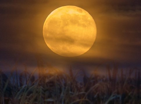 Qué es la luna de grano Qué es la luna de grano