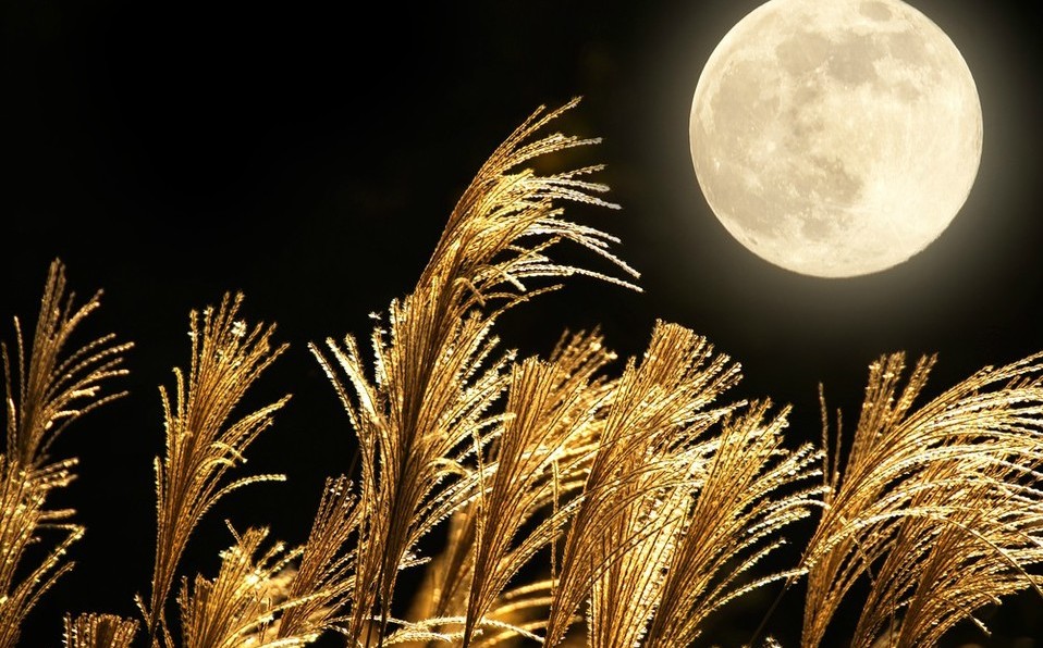 Qué es la luna de la cosecha