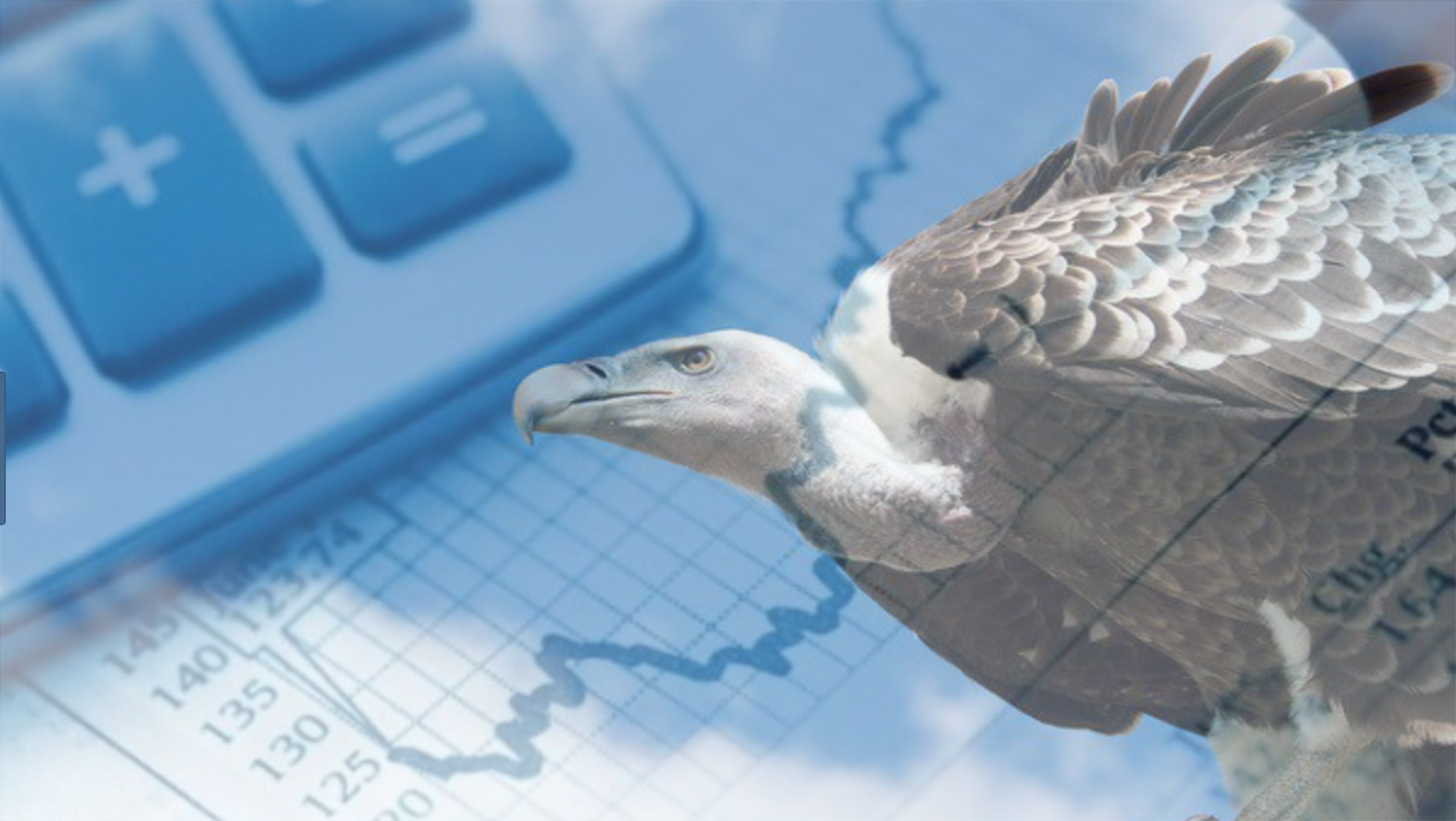 Qué es un fondo buitre