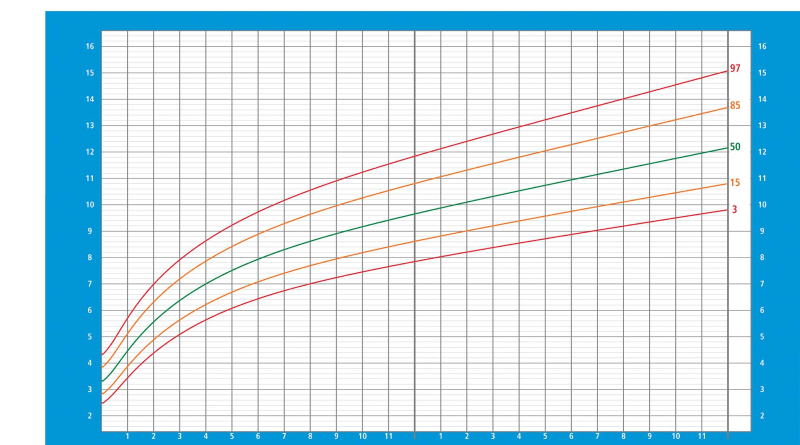 Qué es un percentil 121 Qué es un percentil