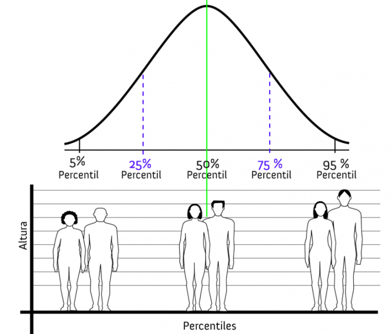 Qué es un percentil