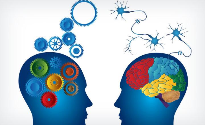 Qué es un principio 86 Qué es un principio