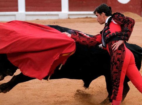 Vox pide la comparecencia de Iceta tras la polémica por los toros 'Feminista' y 'Nigeriano'
