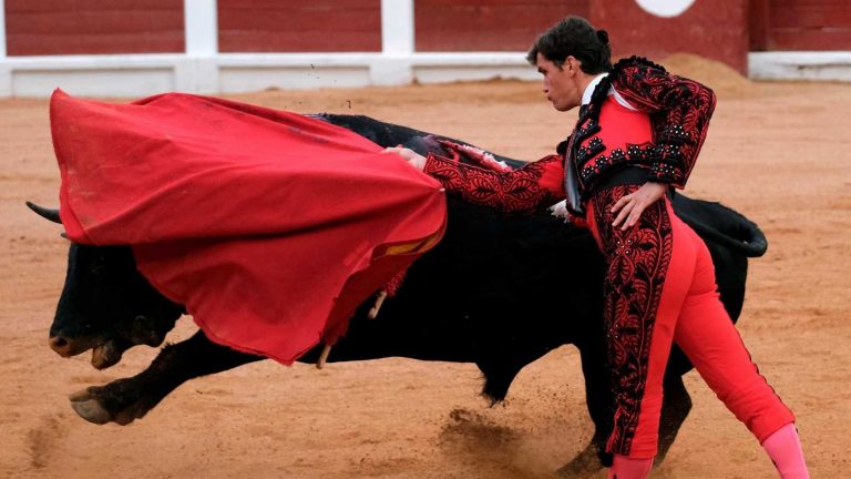 Vox pide la comparecencia de Iceta tras la polémica por los toros 'Feminista' y 'Nigeriano'