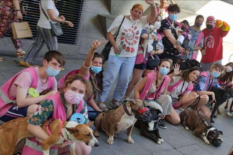 el lugar para que las mascotas estén como en casa, libres y sin jaulas