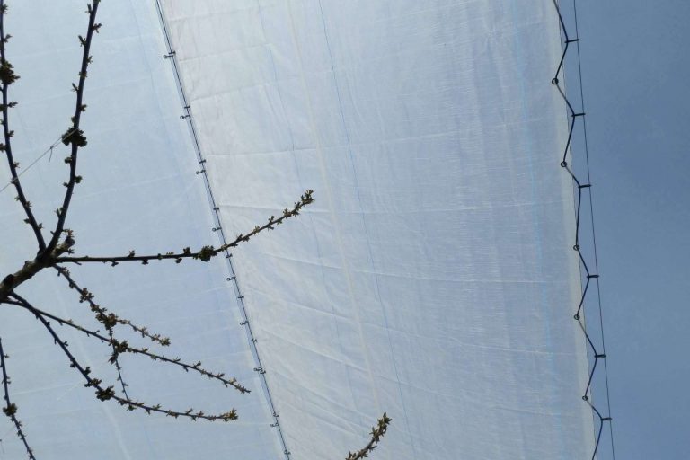 Agralia apuesta por la rentabilidad de la protección de cultivos con la nueva tecnología AGRICOVER