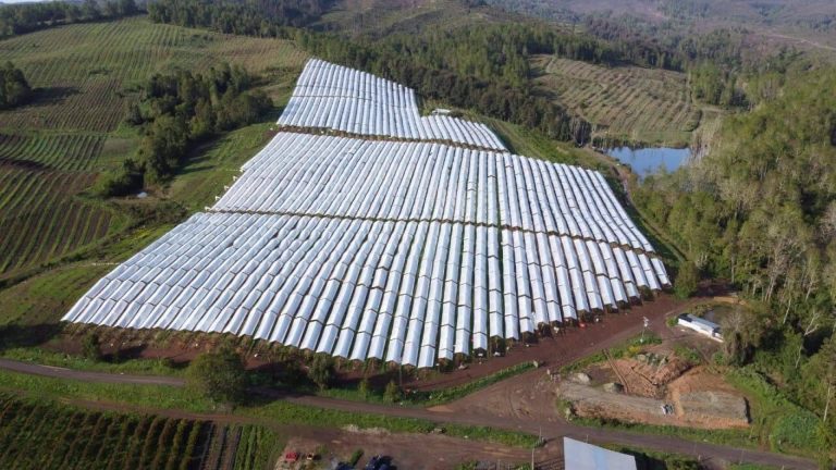 AGRICOVER, el gran paquete tecnológico de Agralia