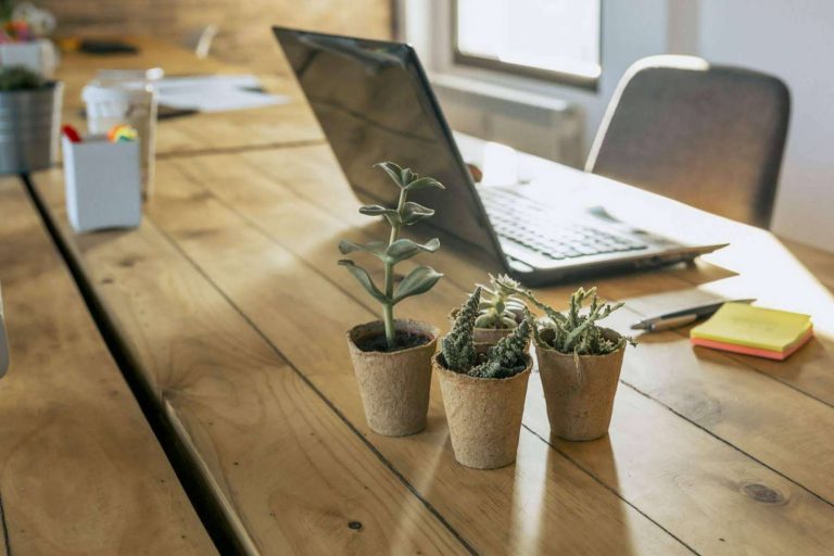 Conciencia ecológica e imagen de marca con los productos de Másqueunboli