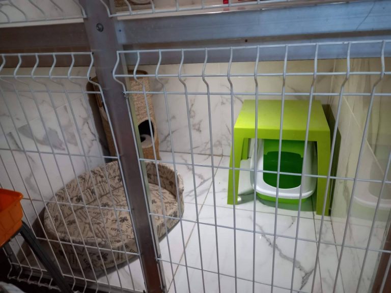 hotel de mascotas en Irún