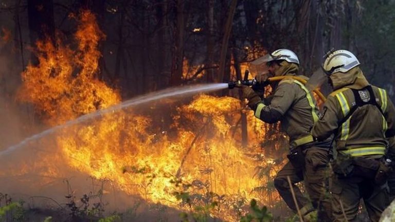 La región mediterránea, propensa a registrar incendios forestales