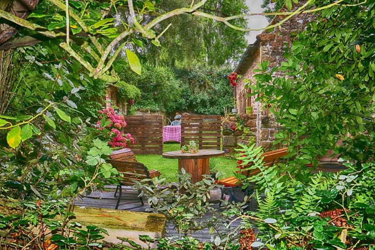 Renueva tu jardín con estos productos a precios asombrosos de Aliexpress