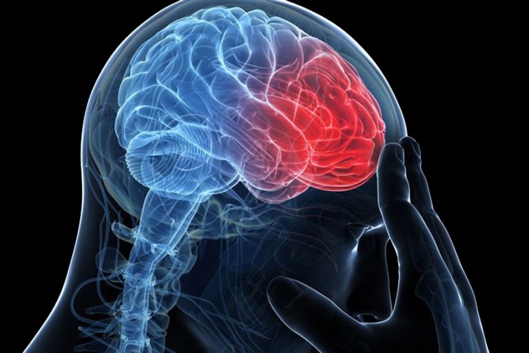 Una investigación de Parapléjicos abre nuevos horizontes para la recuperación