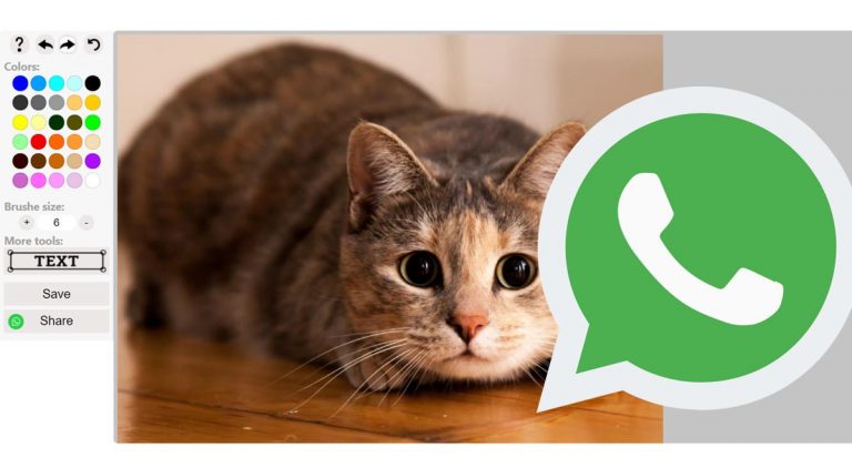 WhatsApp: cómo editar las imágenes antes de mandarlas desde la misma app
