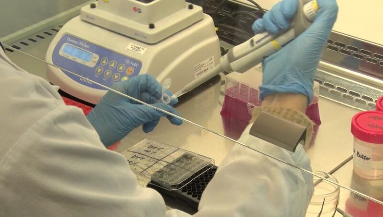 Valencia notifica 13 fallecidos y 358 nuevos casos