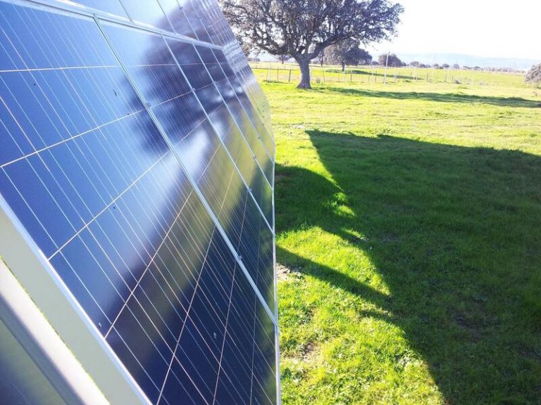 Opdenergy se adjudica 819 GWh anuales en Chile