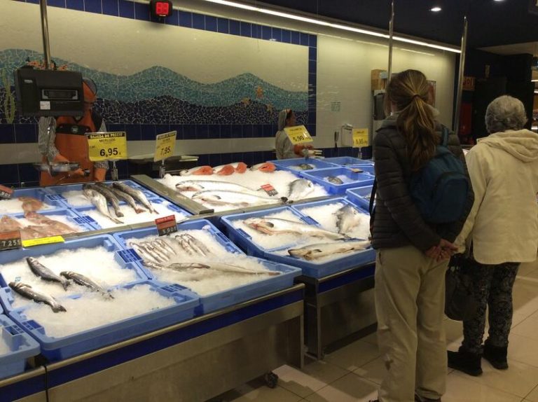 Sostenibilidad y cuidado del medio ambiente influyen en un 60% en la decisión de compra