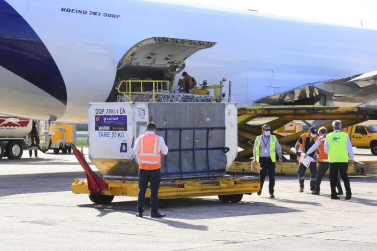 COVAX ha entregado 240 millones de dosis a 139 países en 6 meses