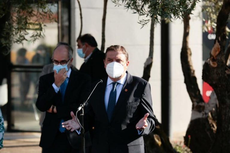 Planas reitera las grandes posibilidades de comercialización del aceite de oliva en el mundo