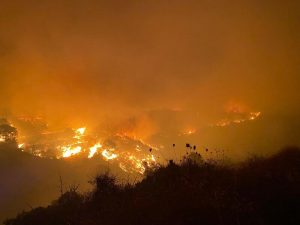 El viento, humedad relativa y calor dificultan extinción del incendio en Sierra Bermeja