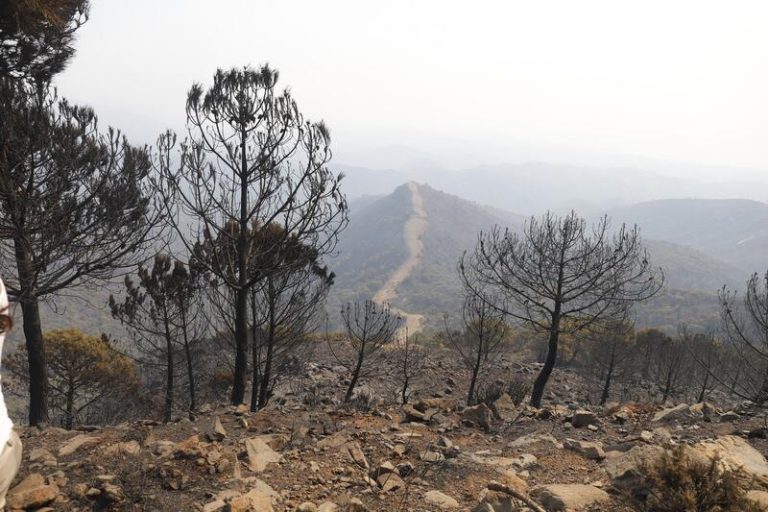 Las condiciones adversas siguen dificultando la lucha contra el incendio en Sierra Bermeja