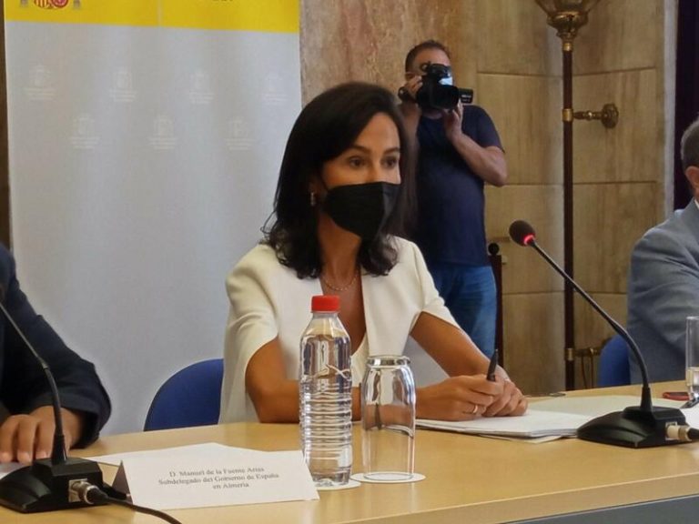 El Gobierno espera recuperar la máxima actividad de las obras del AVE entre Murcia y Almería