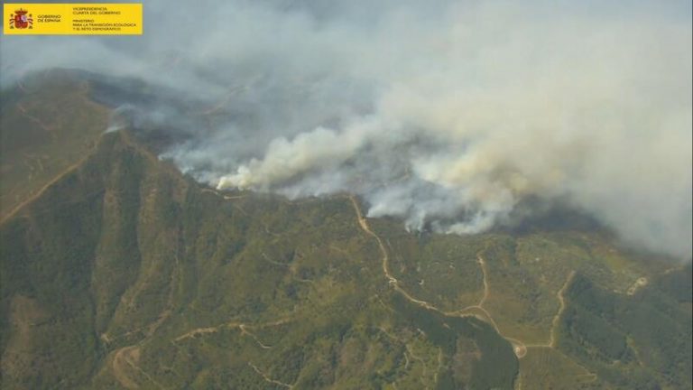 Medios aéreos y terrestres del Gobierno colaboran contra el fuego en Sierra Bermeja