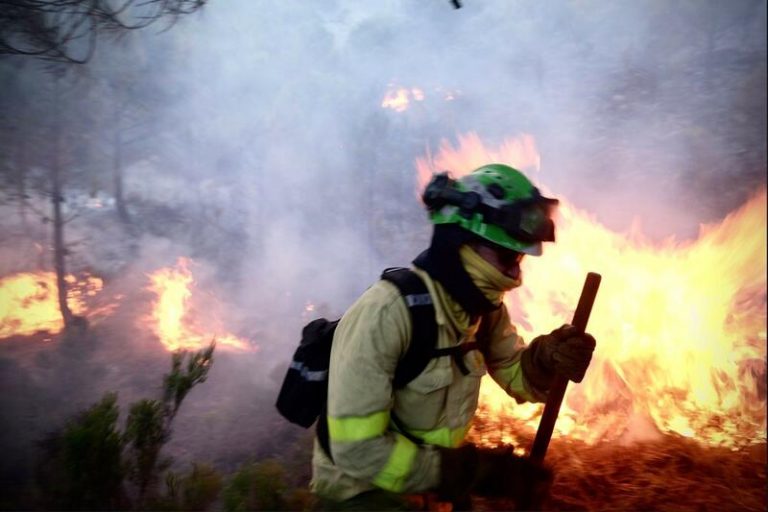 Los medios aéreos retoman sus tareas contra el fuego de Sierra Bermeja (Málaga)