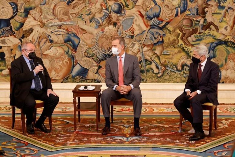 Cámara de España y el CGE trasladan al Rey la importancia de la estabilidad institucional