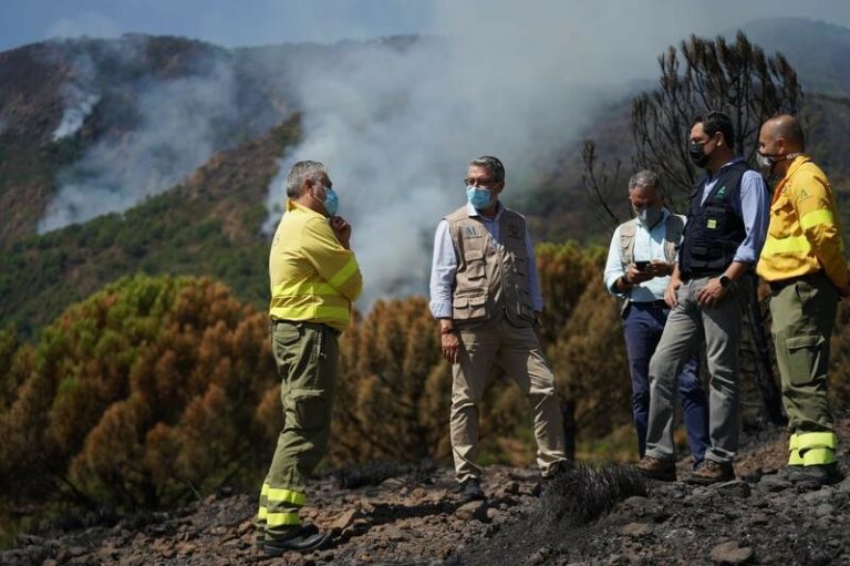 Málaga espera que el Gobierno declare zona catastrófica por el incendio en Sierra Bermeja