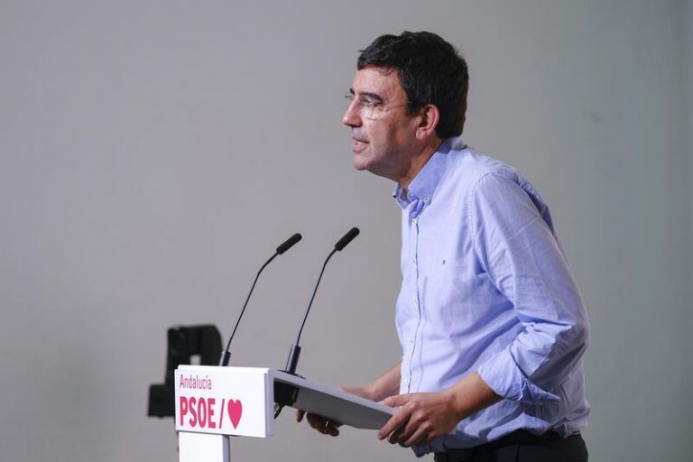PSOE-A pedirá explicaciones en el Parlamento andaluz sobre la gestión del incendio de Sierra Bermeja